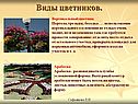 Виды цветников