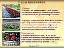 Рабатки