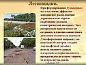 Лесопосадки