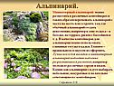Альпинарий