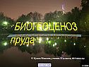 Биогеоценоз пруда