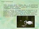 Биоценоз пресного водоема