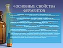 Основные свойства ферментов
