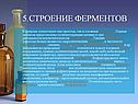Строение ферментов
