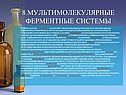 Мультимолекулярные ферментные системы