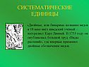 Систематические единицы