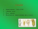 Злаки