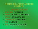 Систематика представителей семейств