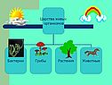 Биология 6 класс грибы