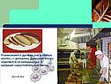 Размножаются дрожжи, как и любые клетки, — делением