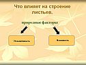 Что влияет на строение листьев
