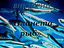 Биология 7 класс «Рыбы»