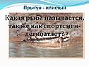 Прыгун - илистый
