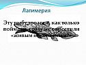 Латимерия