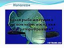Наполеон