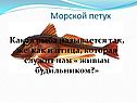 Морской петух