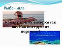 Рыба - игла