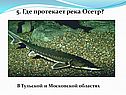 Где протекает река Осетр