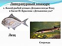 Литературный конкурс