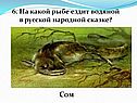 Сом