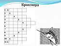 Кроссворд