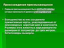 Происхождение пресмыкающихся