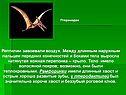 Рептилии завоевали воздух