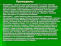 Крокодилы