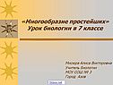 «Многообразие простейших» Урок биологии в 7 классе
