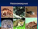 Биология 7 класс