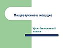 Пищеварение в желудке