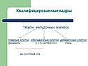 Квалифицированные кадры