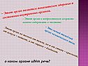 Этот орган является показателем здоровья