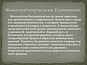 Животный мир мезозоя