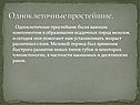 Одноклеточные простейшие