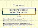 Скелет человека