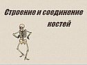 Биология «Скелет»