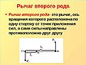 Биология «Скелет»