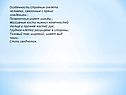 Особенности строения скелета человека