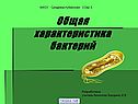 Общая характеристика бактерий