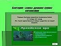 Бактерии – самая древняя группа организмов