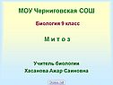 МОУ Черниговская СОШ