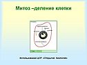 Митоз –деление клетки