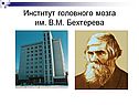 Институт головного мозга им