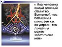 « Мозг человека самый сложный объект во Вселенной, чем больше мы