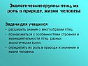 Экологические группы птиц, их роль в природе, жизни человека