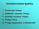 Экологические группы