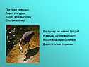 Пестрая крякуша Ловит лягушек