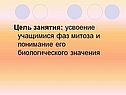 Цель занятия: усвоение учащимися фаз митоза и понимание его