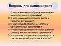 Вопросы для самоконтроля